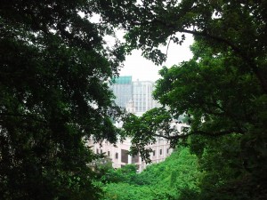 中山烟墩山望出去