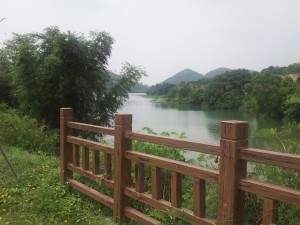 中山金钟水库一角