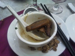 乳鸽