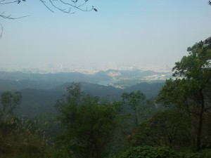 大尖山风景