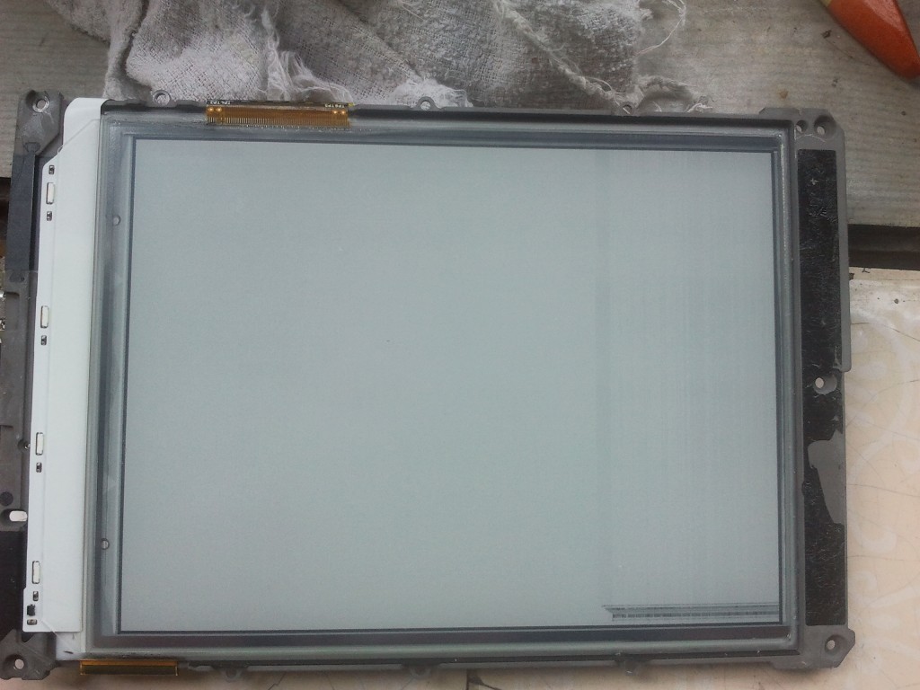 kindle paperwhite